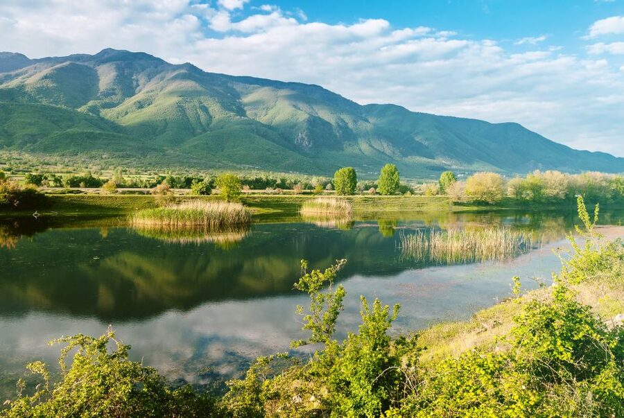 From Thessaloniki: Private Day Trip to Kerkini Lake - The guides make a real difference