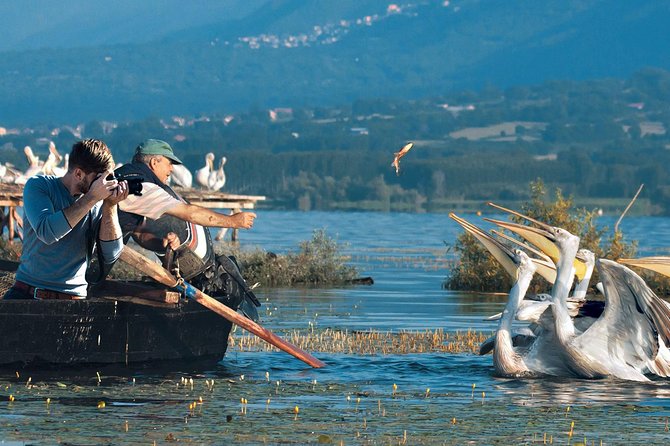 From Thessaloniki: Private Day Trip to Kerkini Lake - The 8:00 AM departure from central Thessaloniki