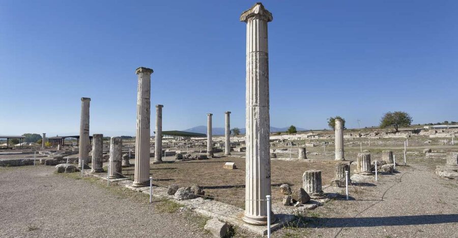 From Thessaloniki: Vergina & Veria Half-Day Tour - Lunch, free time, or the Royal Palace option