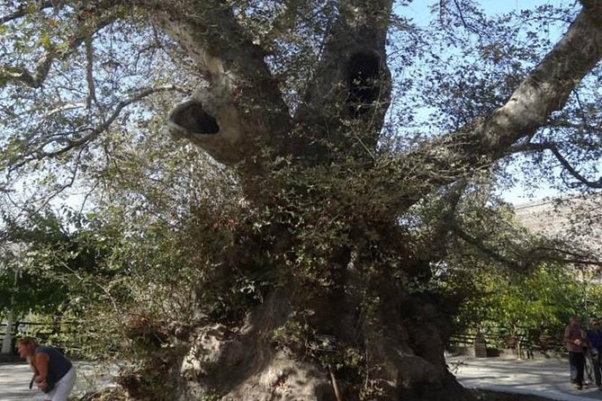 Full-Day Land Rover Safari from Heraklion with Lunch - Lassinthos Eco Park and village life