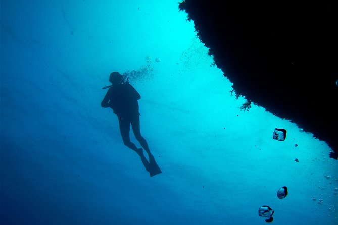 (Full day)Scuba Diving in Rhodes - The briefing makes first-timers feel safer