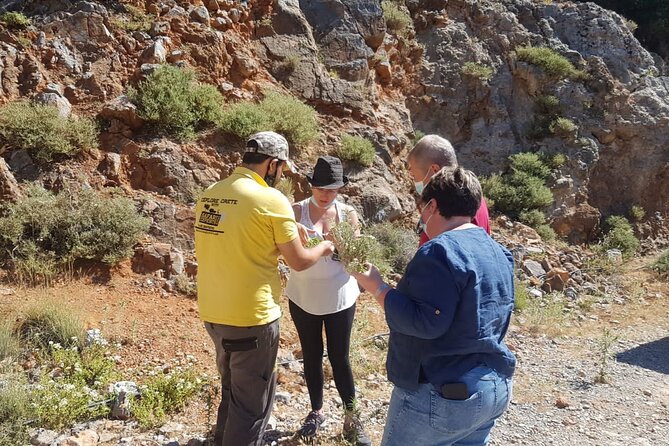 Full-Day Small-Group Tour in Crete with Zeus Cave Visit - Lasithi Plateau and its long line of windmills