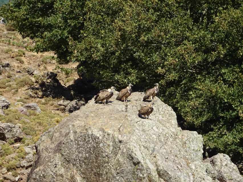 Georgioupolis Full-Day Land Rover Safari Experience - A full Crete crossing in one long day