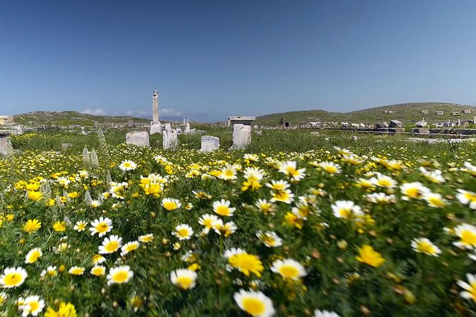 Half-Day Delos Tour from Mykonos - The Theatre, cistern, and public life