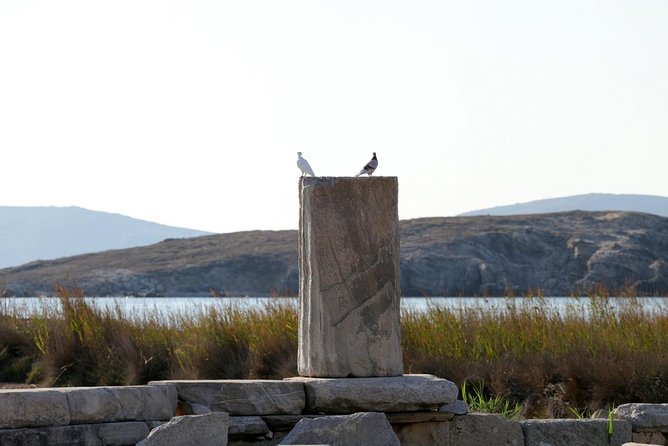 Half-Day Delos Tour from Mykonos - Apollo’s sanctuary and the Sacred Lake