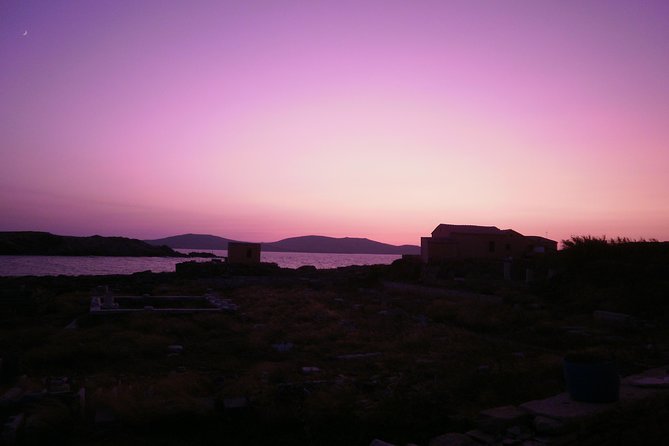 Half-Day Delos Tour from Mykonos - Museum time and the problem of a short afternoon