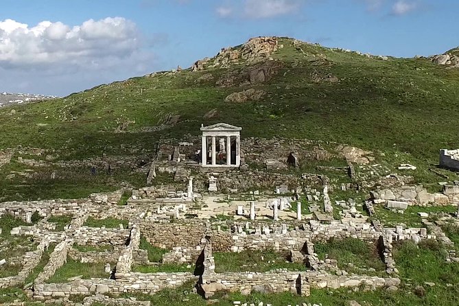 Half-Day Delos Tour from Mykonos - Guide quality and group size