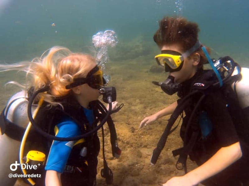 Halkidiki-Kassandra: Scuba Diving for Beginners - Is $102 a fair price?