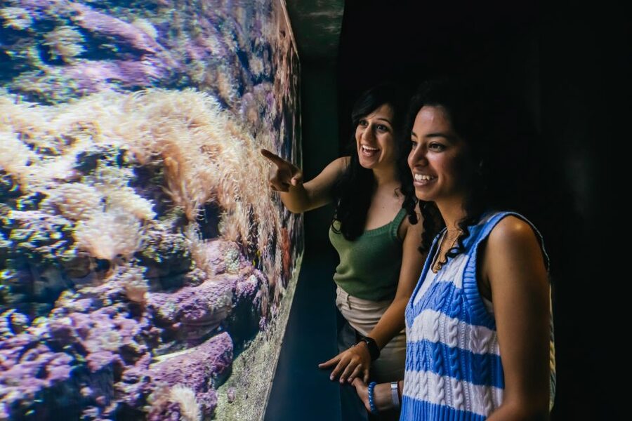 Heraklion Area: CRETAquarium Admission Ticket - Who will enjoy it most?