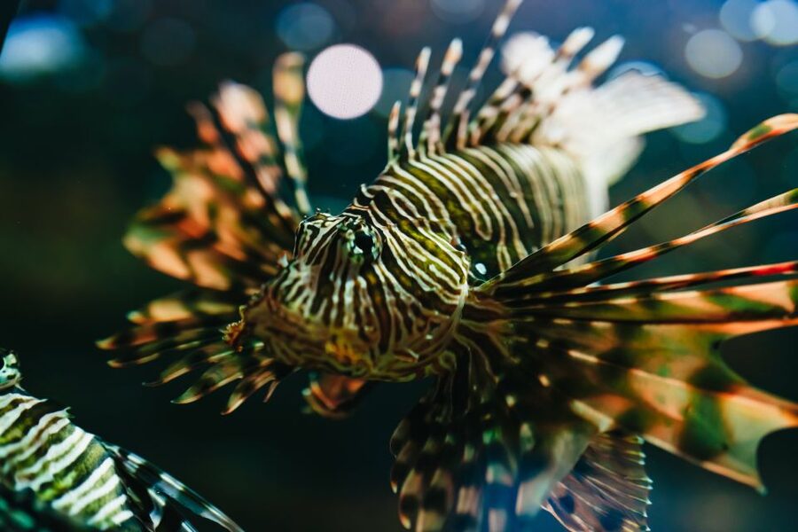 Heraklion Area: CRETAquarium Admission Ticket - What the CRETAquarium visit is really like