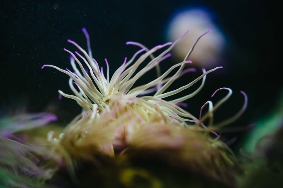 Heraklion Area: CRETAquarium Admission Ticket - How long should you allow?