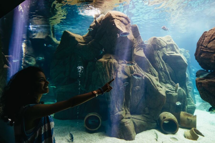 Heraklion Area: CRETAquarium Admission Ticket - Is the $9 ticket good value?