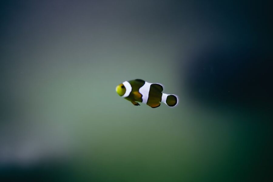 Heraklion Area: CRETAquarium Admission Ticket - Clean tanks and a clear route