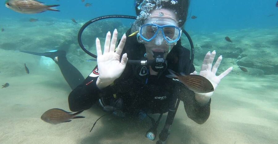 Heraklion: Beginner Scuba Diving Lesson with PADI Instructor - A gentle first step beneath Crete’s surface