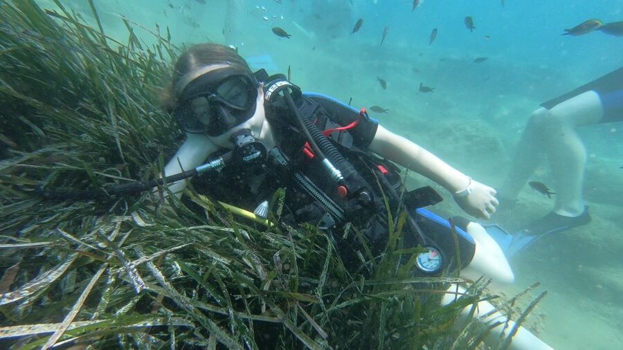 Heraklion: Beginner Scuba Diving Lesson with PADI Instructor - What small groups change underwater