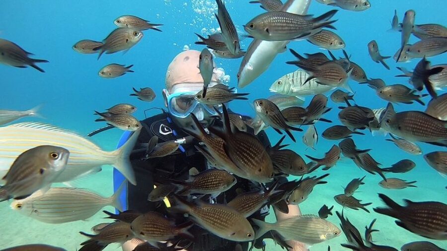 Heraklion: Beginner Scuba Diving Lesson with PADI Instructor - What you may see, and what not to expect