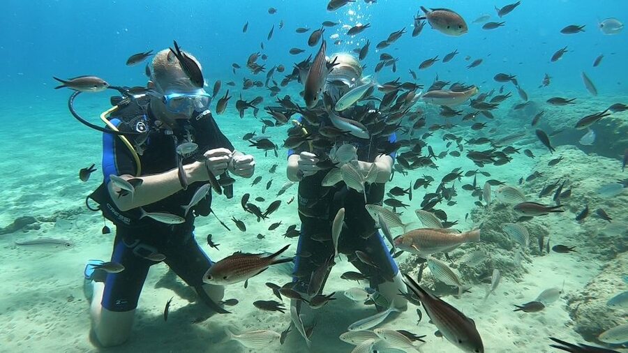 Heraklion: Beginner Scuba Diving Lesson with PADI Instructor - Photos, video, and the extra cost to remember