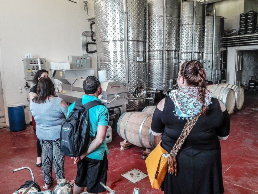 Heraklion: Cretan Wine Tasting Tour & Gourmet Lunch - Language, pickup, and booking details
