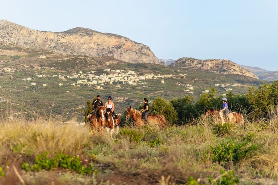 Heraklion: Finikia Horse Riding Tour with Lunch or Dinner - A comfortable choice for beginners