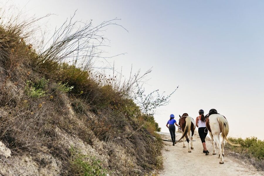 Heraklion: Finikia Horse Riding Tour with Lunch or Dinner - Morning ride or afternoon moonlight?