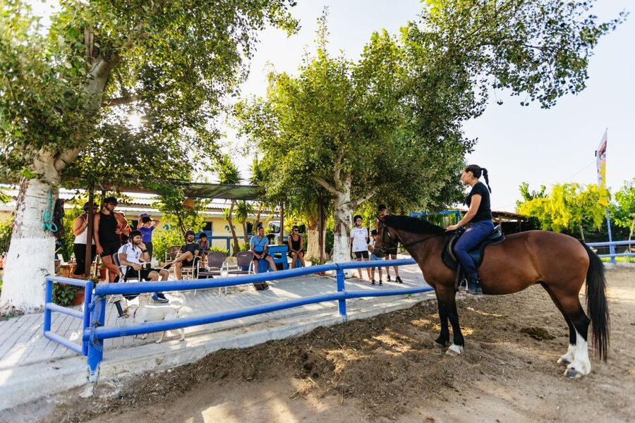 Heraklion: Finikia Horse Riding Tour with Lunch or Dinner - Transport from the Heraklion resort area