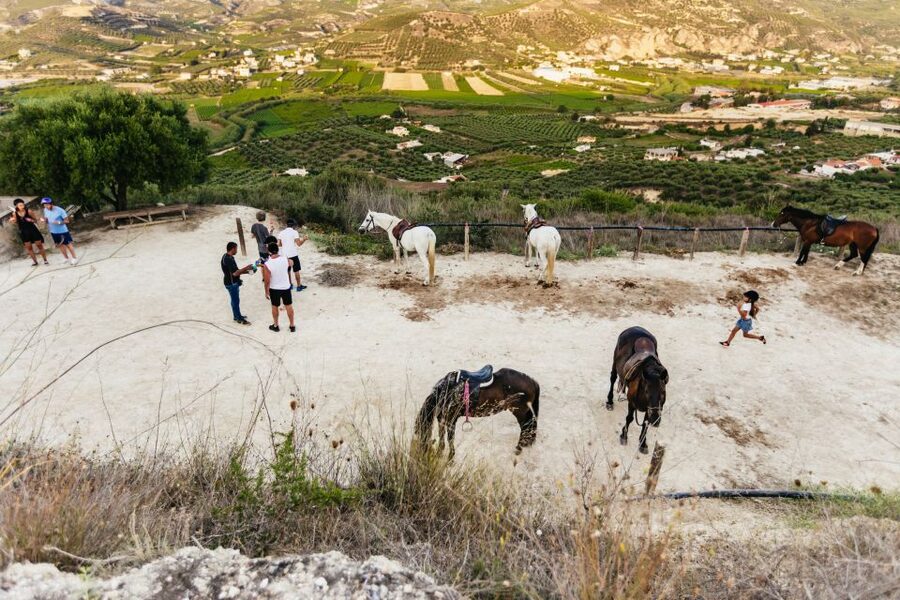 Heraklion: Finikia Horse Riding Tour with Lunch or Dinner - The atmosphere at Finikia Horseriding