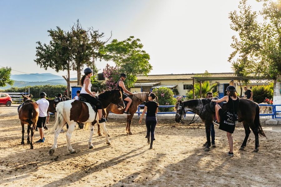 Heraklion: Finikia Horse Riding Tour with Lunch or Dinner - Practical advice for a smoother ride