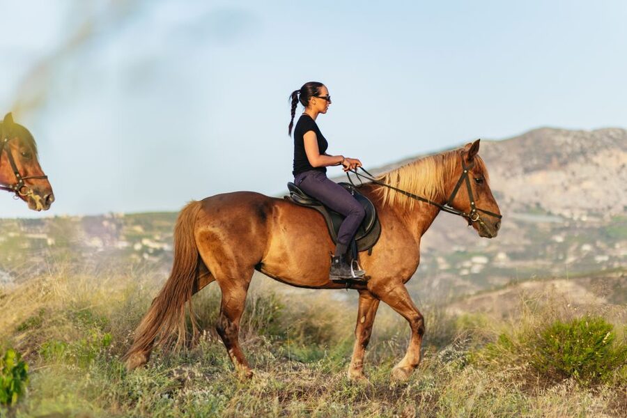 Heraklion: Horse Ride in the Cretan Mountains - The views toward Giouhtas and Agios Silas