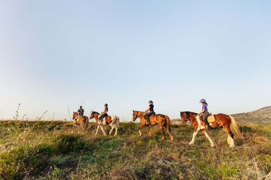 Heraklion: Horse Ride in the Cretan Mountains - What the two-hour route is really like