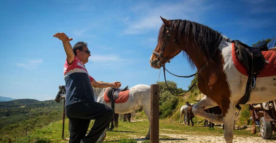 Heraklion: Horseriding Day Tour with Lunch and Transfer - The Mount Zeus viewpoint and mountain picnic