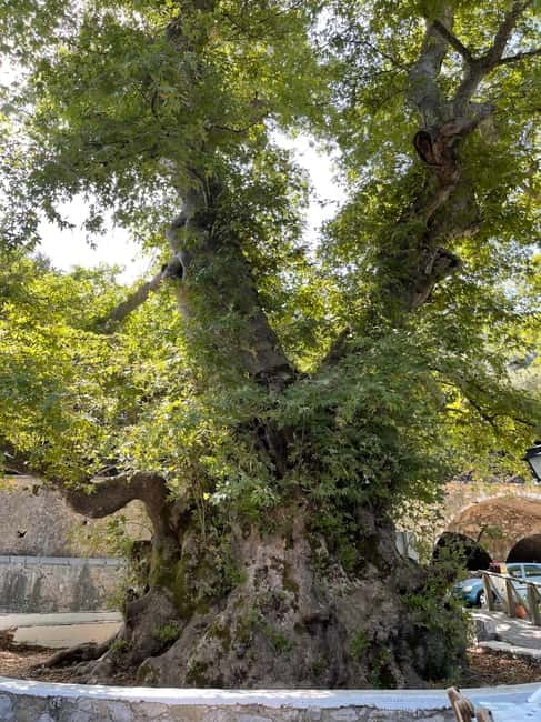 Heraklion: Knossos, Zeus, Villages & Olive Oil Factory Tour - The Zeus connection and possible cave visit