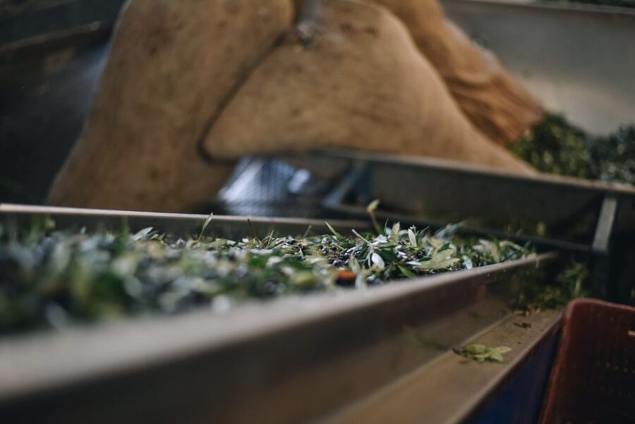 Heraklion: Olive Farm Tour with Tasting of Local Delicacies - From olives to oil inside the modern mill