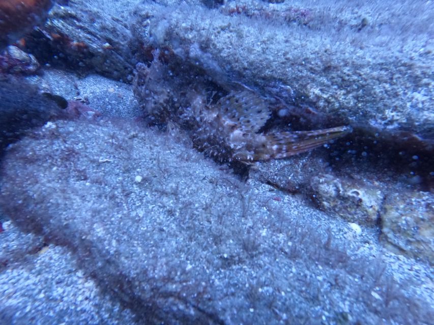 Heraklion: Scuba Diving Experience for Beginners _Beach - Why Mononaftis Beach works for a first scuba session