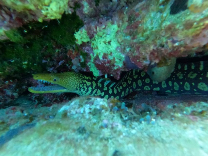 Heraklion: Scuba Diving Experience for Beginners _Beach - Expect a calm pace, not an advanced scuba trip