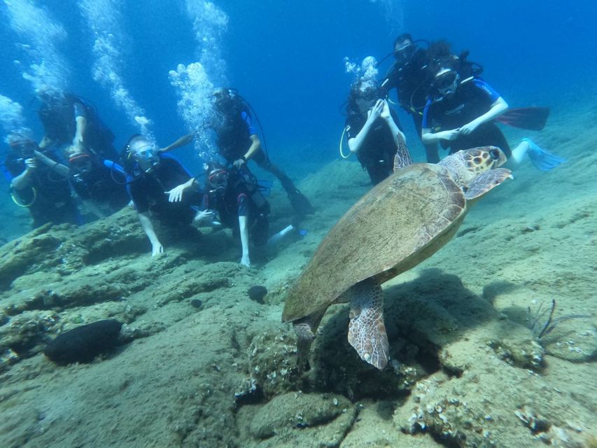 Heraklion: Scuba Diving Experience for Beginners _Beach - Transfers from Heraklion and the surrounding resorts
