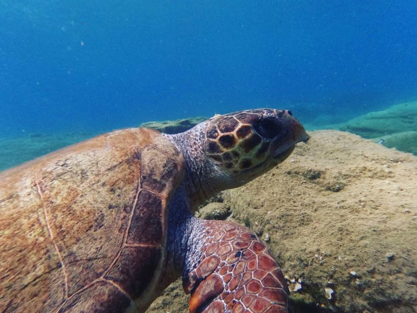 Heraklion: Scuba Diving Experience for Beginners _Beach - What the $81 price includes, and what it does not