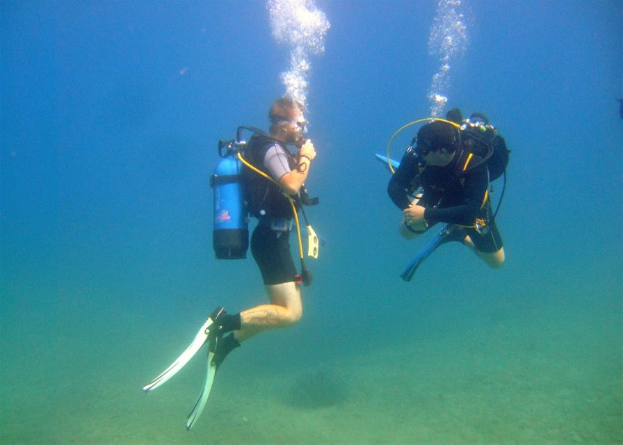 Heraklion: Scuba Diving Experience for First-Timers - Should you book this Ligaria scuba session?