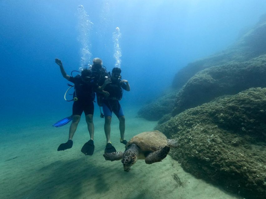 Heraklion: Scuba Diving Experience for First-Timers - Price and value at $82 per person