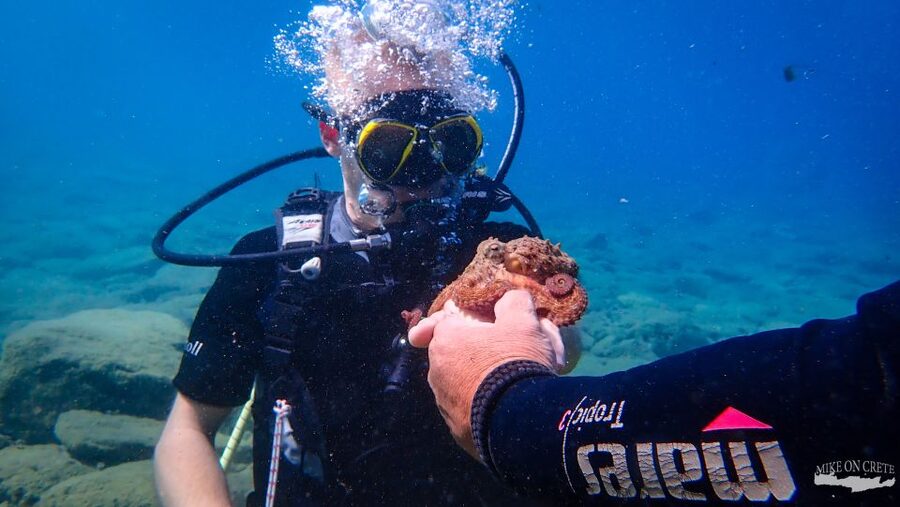 Heraklion: Scuba Diving Experience for First-Timers - Who should choose this experience