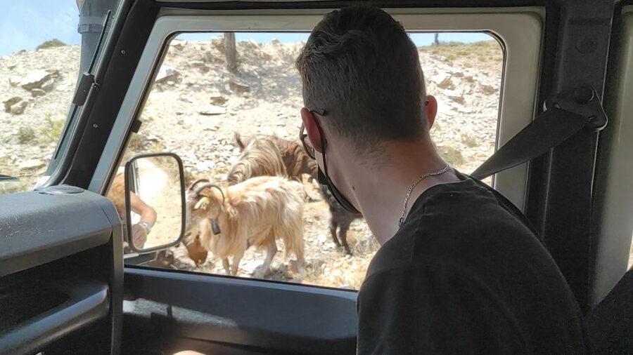 Heraklion: Self-Driving 4X4 Jeep Off-Road Tour with Lunch - Potamies and the rural side of Crete