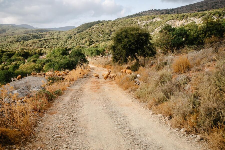 Heraklion: Self-Driving 4X4 Jeep Off-Road Tour with Lunch - Aposelemis Dam and the old water route