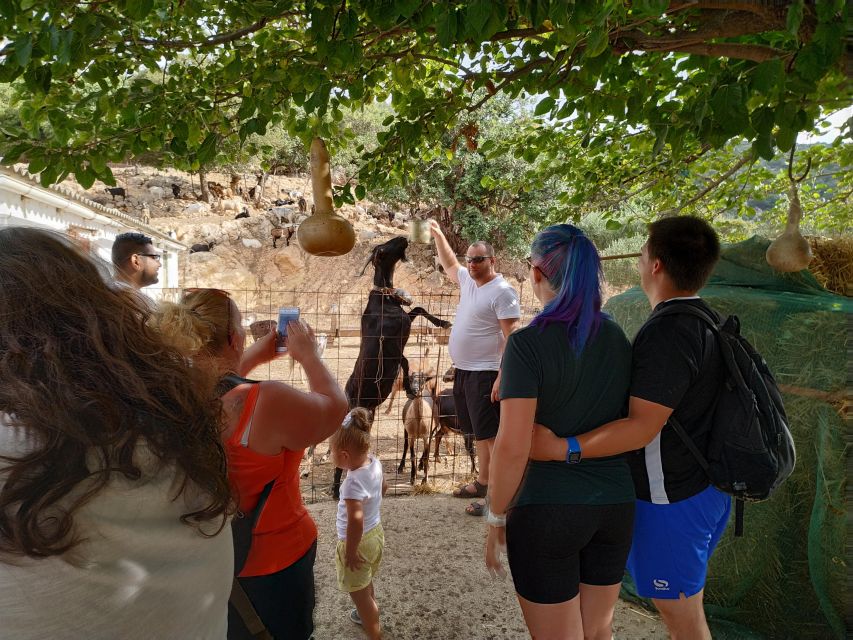 Heraklion: Self-Driving 4X4 Jeep Off-Road Tour with Lunch - Coffee and free time in Kastamonitsa