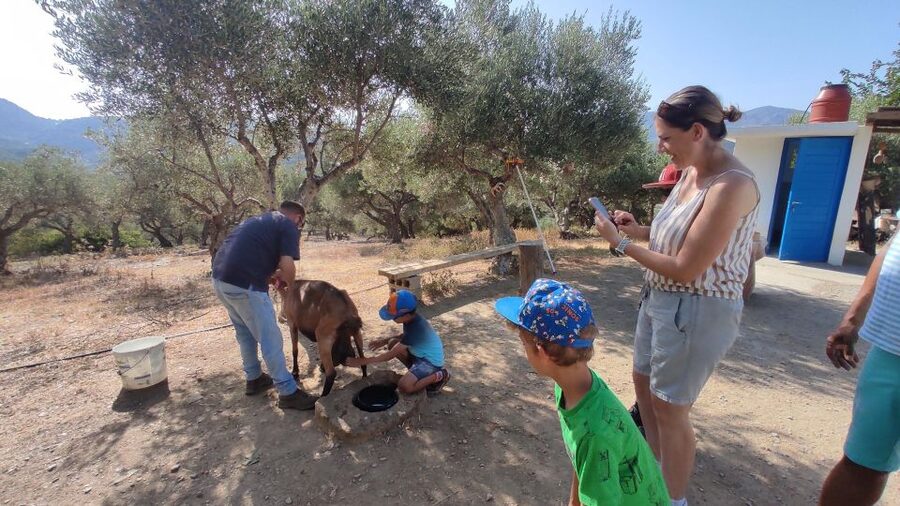 Heraklion: Self-Driving 4X4 Jeep Off-Road Tour with Lunch - BBQ lunch in Malia