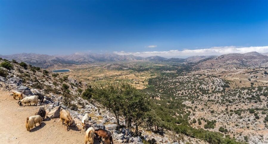 Heraklion: Sunset Safari with Dinner & Prosecco - Key points to know before you book