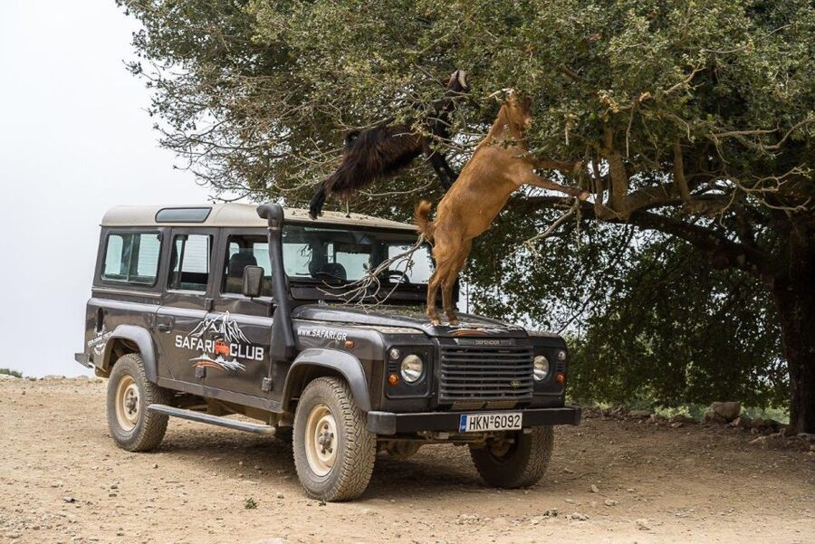 Heraklion: Sunset Safari with Dinner & Prosecco - Who will get the most from this safari