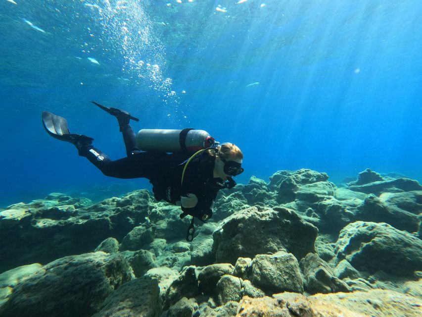 Heraklion: Try Scuba Diving For Beginners (1 dive) - Exploring the Cretan sea on one underwater outing