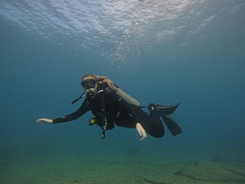 Heraklion: Try Scuba Diving For Beginners (1 dive) - What kind of day should you expect?