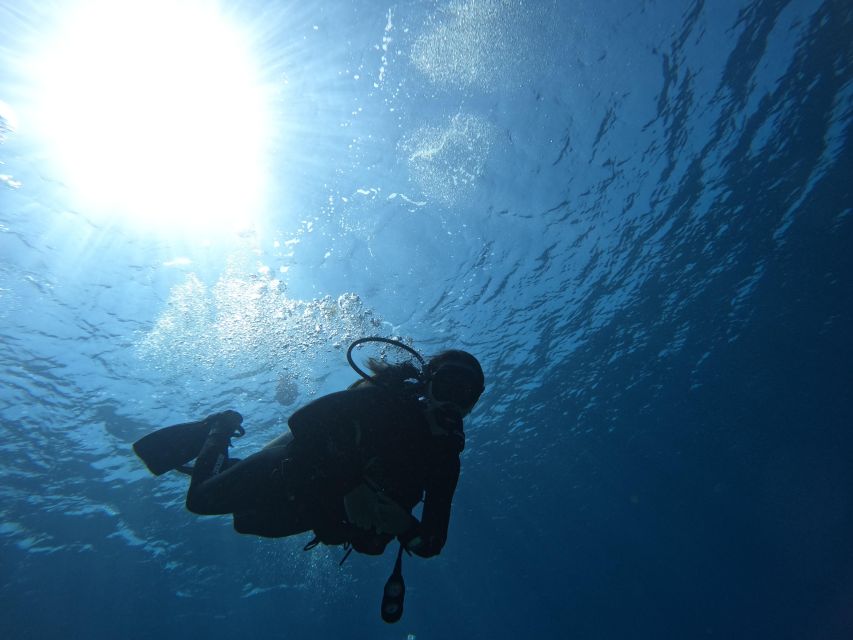 Heraklion: Try Scuba Diving For Beginners (1 dive) - Learning the basics before entering the water