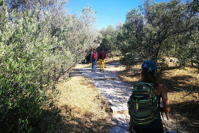 Hills Of Athens Walking Tour - Key points to know before booking