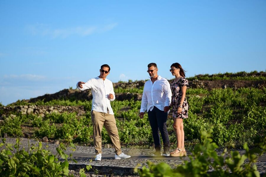 Imerovigli: Premium Wine Tasting with Caldera and Sea Views - Practical advice for a better visit